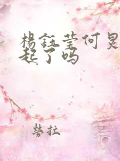 杨钰莹何炅在一起了吗