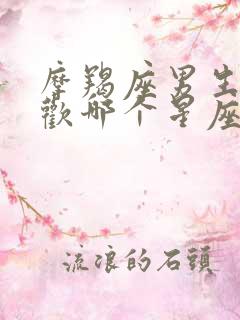 摩羯座男生最喜欢哪个星座的女生