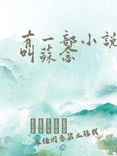 有一部小说女主叫苏念