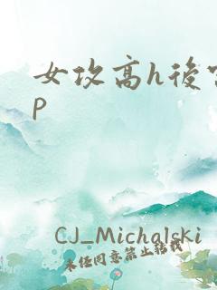 女攻高h后宫np
