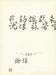 我的总裁未婚妻沈浪 苏若雪