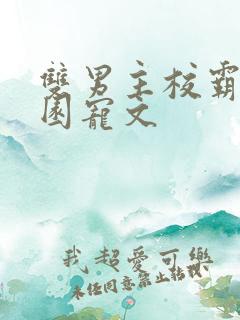 双男主校霸的校园宠文