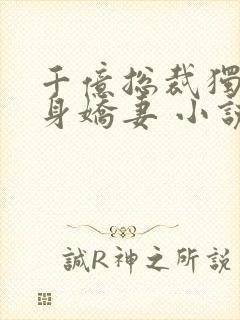 千亿总裁独宠替身娇妻 小说完整板