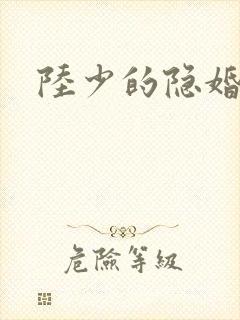 陆少的隐婚娇妻