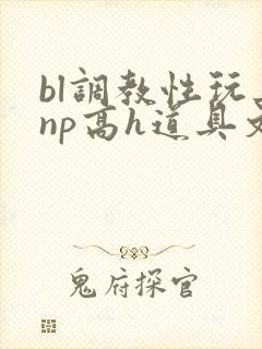 bl调教性玩具np高h道具文