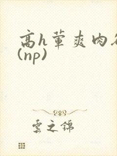 高h荤爽肉欲文(np)