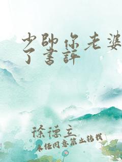 少帅你老婆又跑了书评