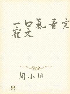 一口气看完的甜宠文