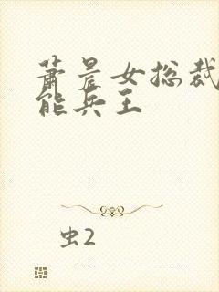 萧晨女总裁的全能兵王