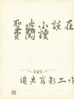 圣墟小说在线免费阅读