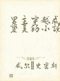 男主穿越成任务变美的小说推荐双男