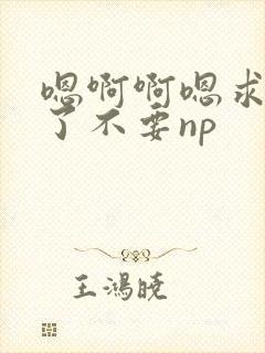 嗯啊啊嗯求你们了不要np