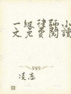 一级律师小说全文免费阅读无弹窗