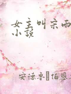 女主叫宋雨霏的小说