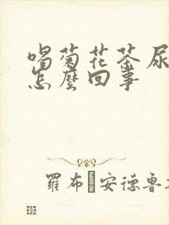 喝菊花茶尿黄尿怎么回事