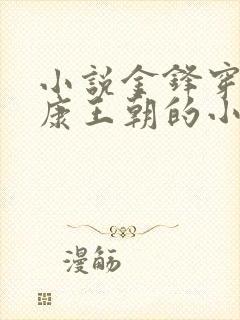 小说金锋穿越大康王朝的小说