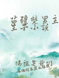 苗疆双男主强制生子小说