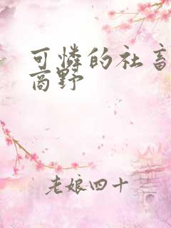 可怜的社畜周颂商野