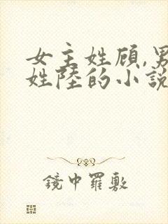 女主姓顾,男主姓陆的小说