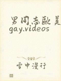 男同志欧美网站gay.videos