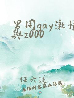男同gay激情与z000