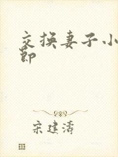 交换妻子小说章节