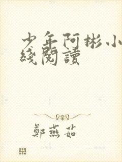 少年阿彬小说在线阅读