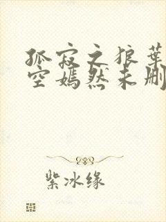 孤寂之狼叶凡司空嫣然未删减txt