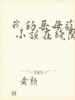 我的岳母苏沛真 小说在线阅读