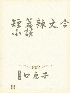 短篇辣文合集 小说