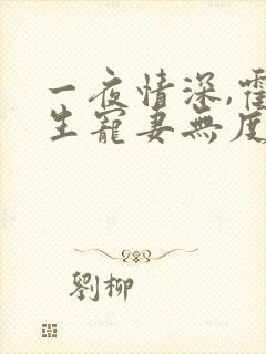 一夜情深,霍先生宠妻无度网络小说