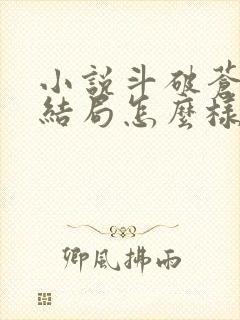 小说斗破苍穹大结局怎么样