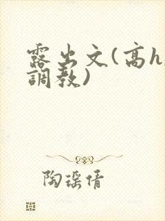 露出文(高h,调教)