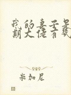 我的妻子是大乘期大佬有几个女主