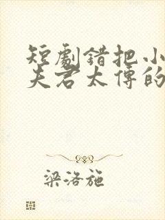 短剧错把小叔当夫君太传的宠妻日常