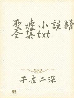 圣墟小说精校版全集txt