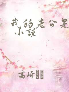 我的老公是阎君 小说