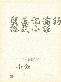 堕落沉沦的冷艳总裁小说