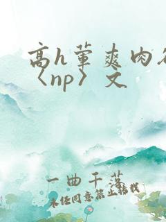 高h荤爽肉欲文〈np〉文