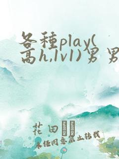 各种play(高h,1v1)男男双性