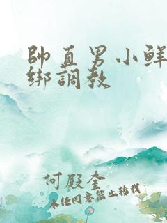 帅直男小鲜肉捆绑调教