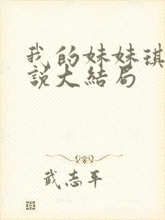 我的妹妹琪琪小说大结局