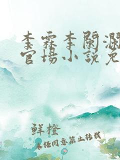 李霖李阑澜巅峰官场小说免费阅读