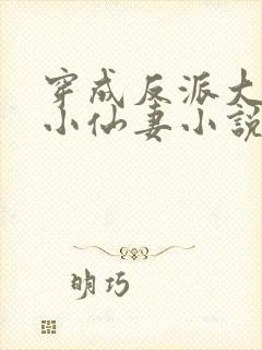 穿成反派大佬的小仙妻小说免费阅读