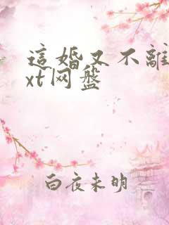 这婚又不离了txt网盘