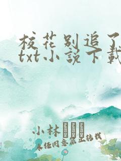 校花别追了高冷txt小说下载