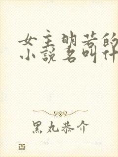 女主明若的穿越小说名叫什么