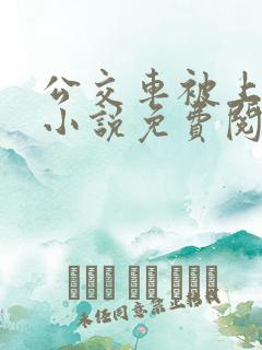 公交车被上高潮小说免费阅读