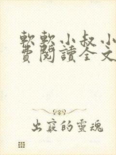 软软小叔小说免费阅读全文最新章节