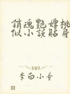 销魂艳婢桃儿类似小说贴身丫鬟